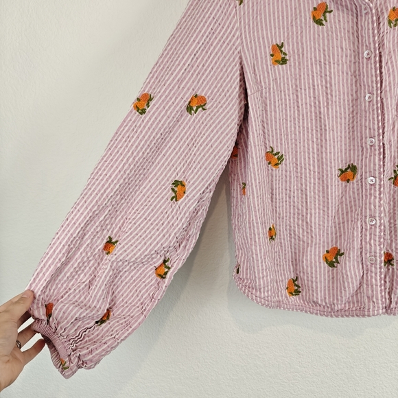 Anthropologie Maeve Embroidered Button down Shirt In Assorted Fruit Striped LG - Picture 7 of 15